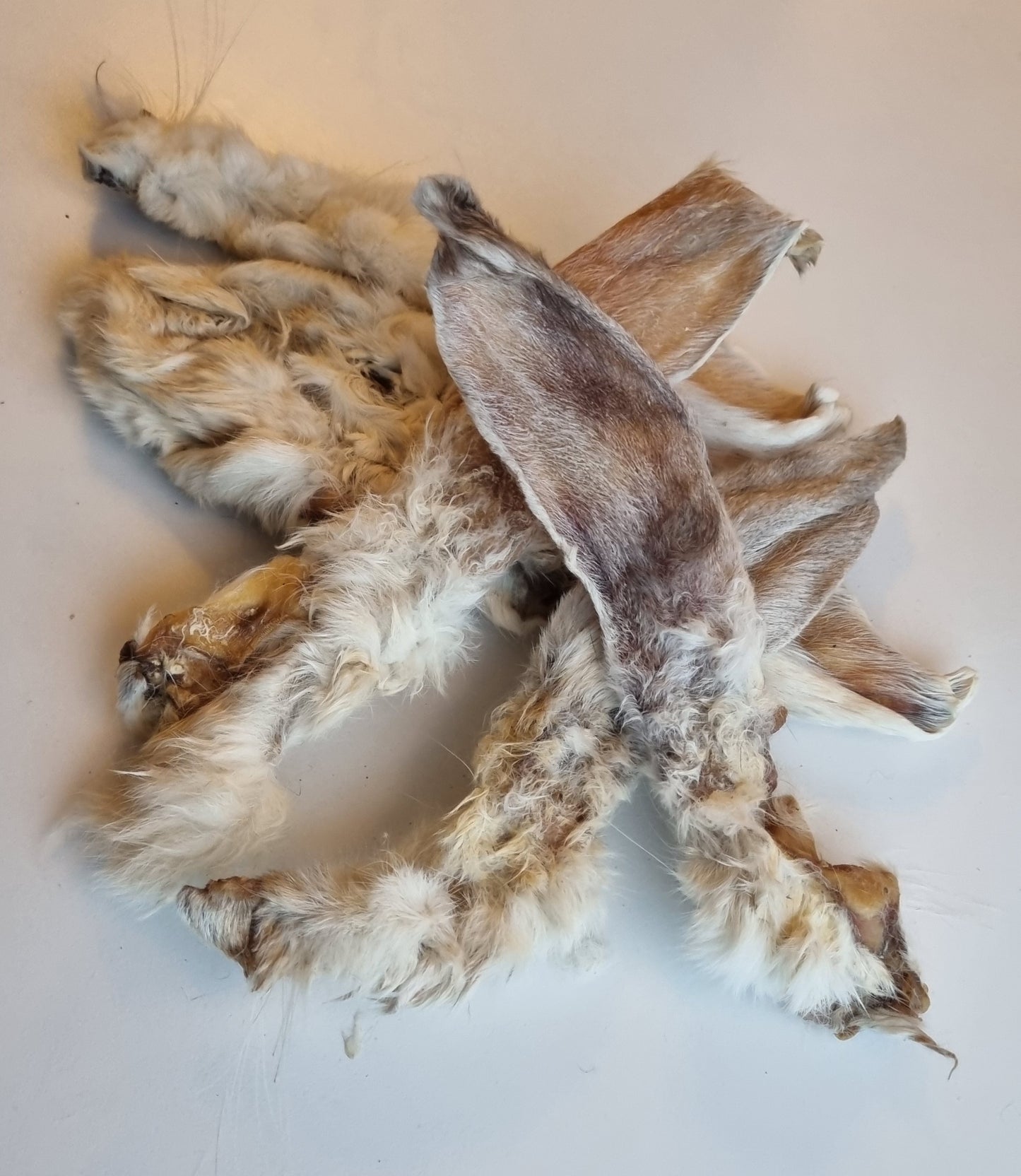 Kaninöron med päls