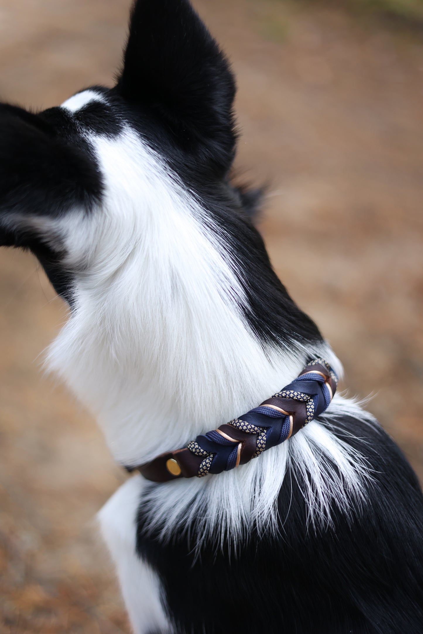 Fast halsband, extra smalt - blå