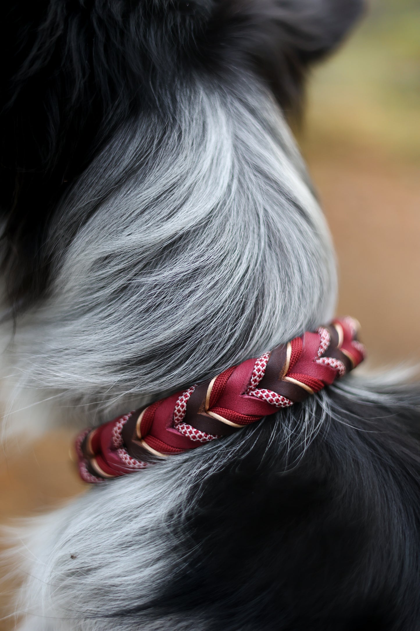 Fast halsband, extra smalt - röd