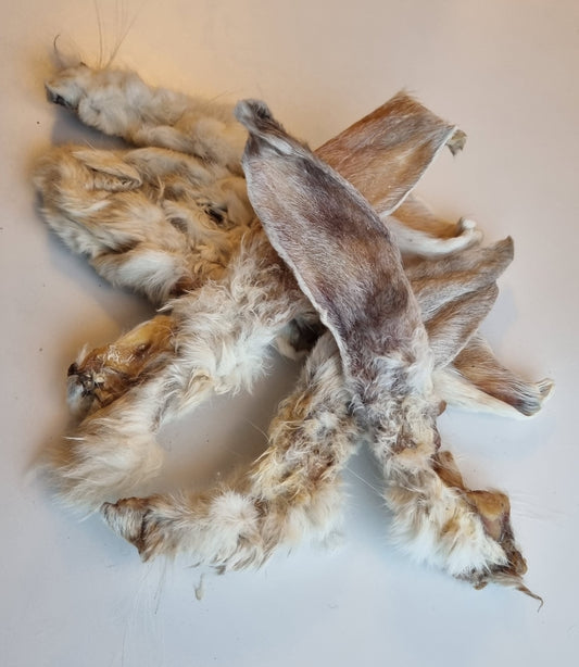 Kaninöron med päls