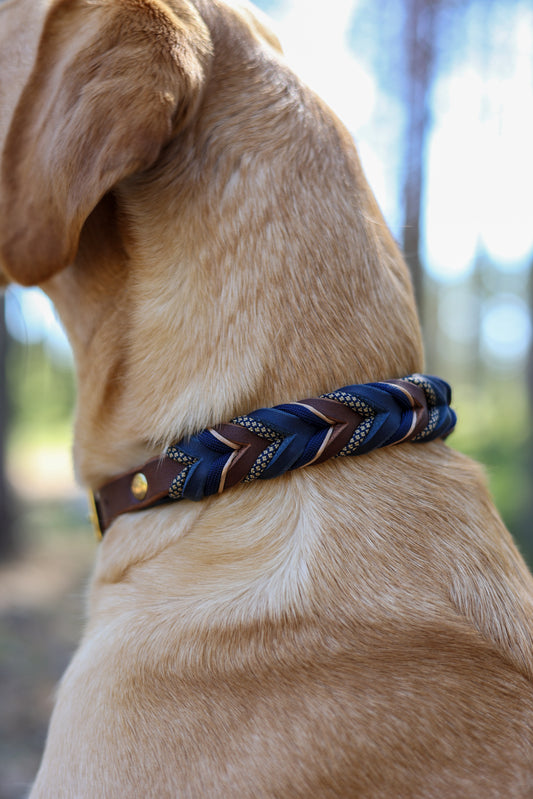 Halsband Slim - blå