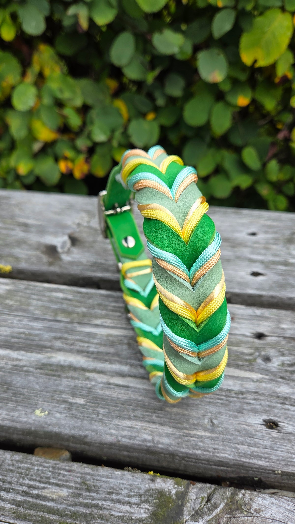 Fast halsband med spänne